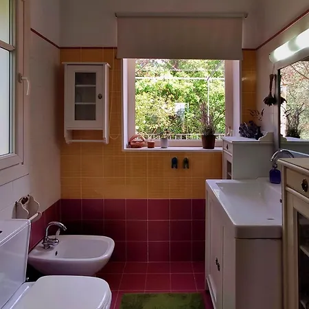 Xenonerantzia Country Style *