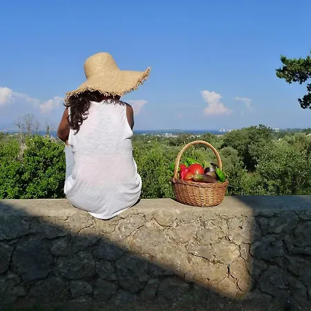 Xenonerantzia Country Style Γουβιά