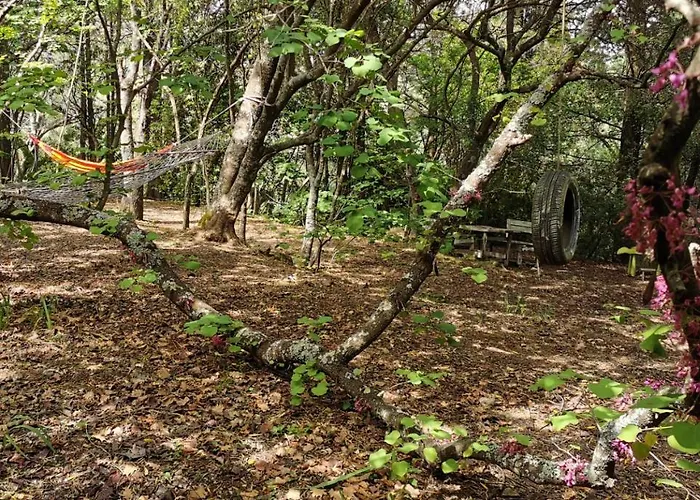 Xenonerantzia Country Style * Gouvia