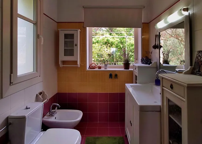 Xenonerantzia Country Style *