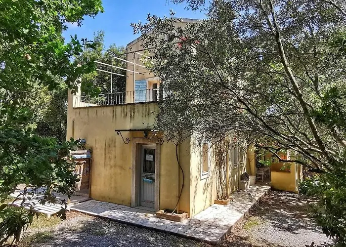 Xenonerantzia Country Style