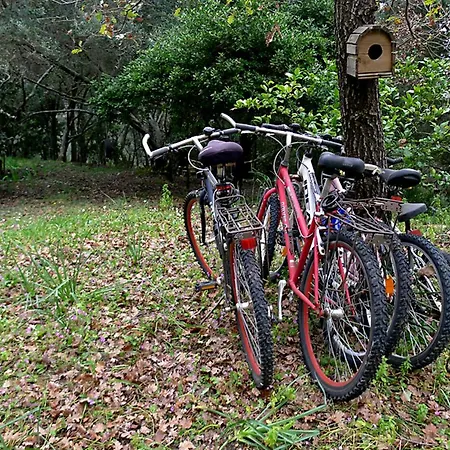 Case de vacanță Xenonerantzia Country Style