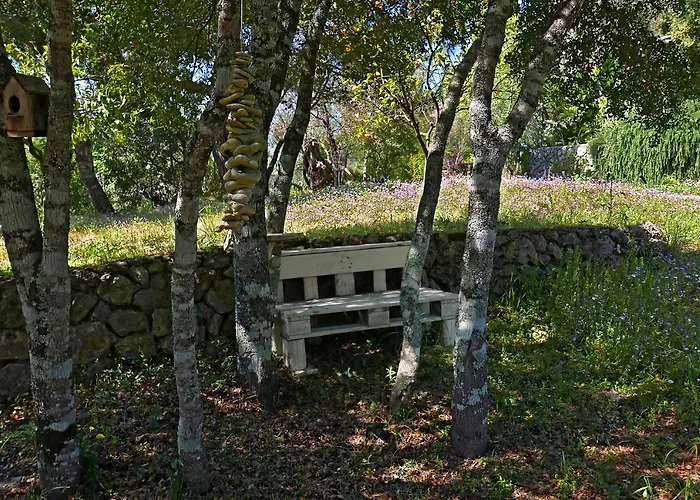 Xenonerantzia Country Style גאוביה